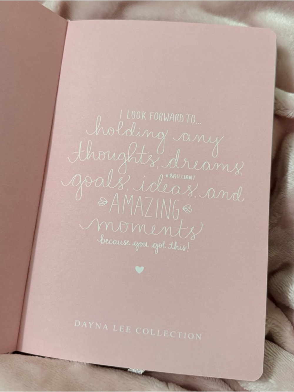 Dayna Lee Notebook Collection 🌸 - Picture 6 of 6